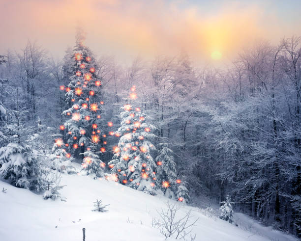 istock fog and frost in the Carpathians 849409716