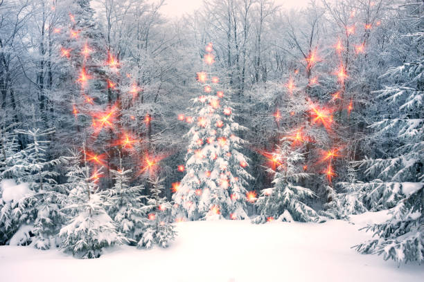 istock fog and frost in the Carpathians 849410720