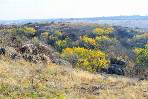 istock Autumn landscape with trees, rocks and hills 849417220