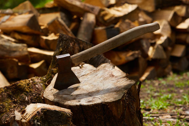 istock Old ax on log and firewood in the background 849418168