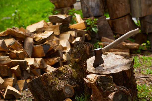 istock Old ax on log and firewood in the background 849418192