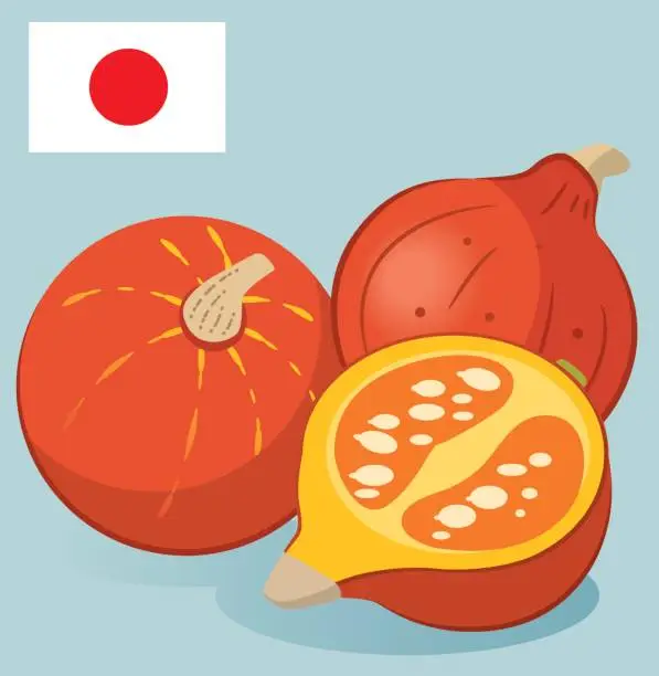 Vector illustration of Red kuri squash (hokkaido Orange)