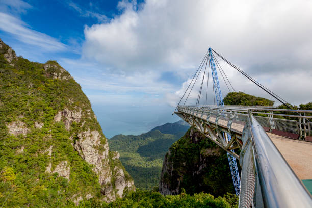 マレーシアのランカウイ島で outlook 橋 - tropical rainforest elevated walkway pulau langkawi malaysia ストックフォトと画像