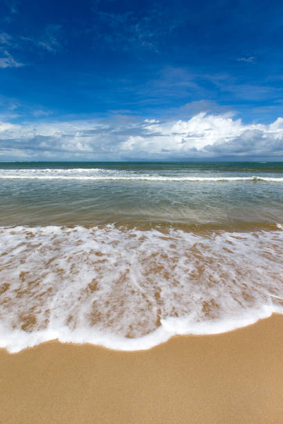 istock beach and tropical sea 849432922