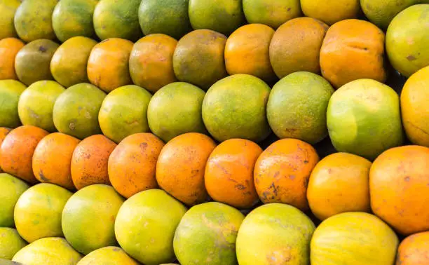 Fresh healthy orange mandarin and green citurs fruits