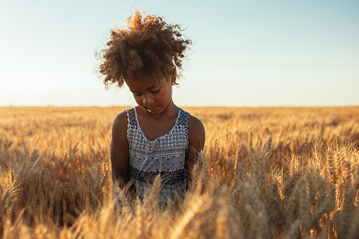 Portrait of an african american young girl looking at the wheat in the fields.