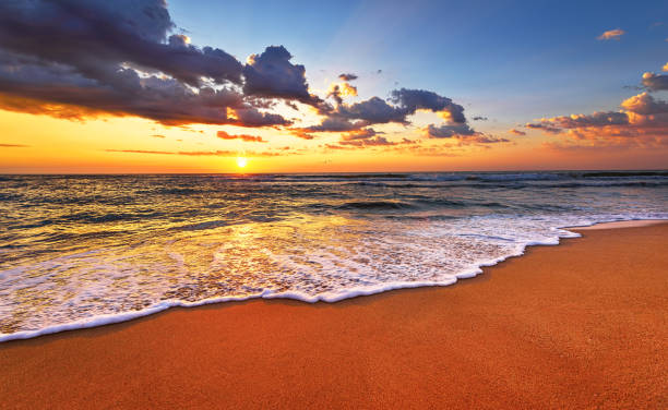 istock Beautiful tropical sunrise on the beach. 849455314
