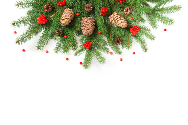 istock Christmas tree branches with cedar cones and red berries of viburnum on a white background. View from above. 849461452