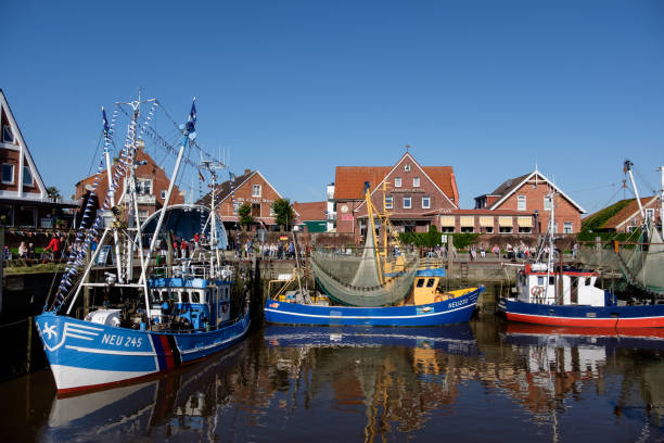 istock the german north sea 849462082