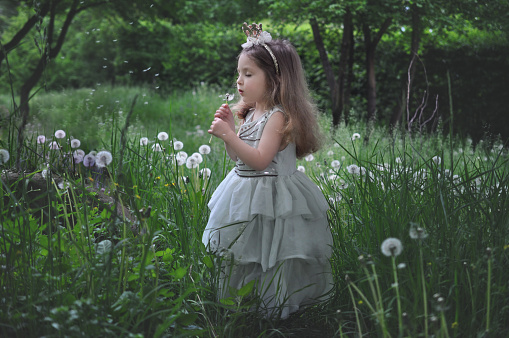 Little girl picking summer flowers. Happy child enjoying nature outdoors. Sunlit  smiling girl smelling summer flowers. Soft blurred  sunlight. Atmospheric mood