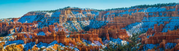 macumba de florestas dourado pinho nevado spires bryce canyon np utah - nevada pine tree bristlecone pine snow - fotografias e filmes do acervo