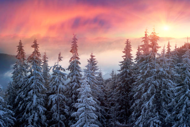 istock frosty sunrise in Carpathians 849479998