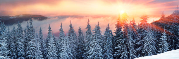 istock frosty sunrise in Carpathians 849482200