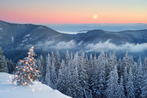 istock frosty sunrise in Carpathians 849482332
