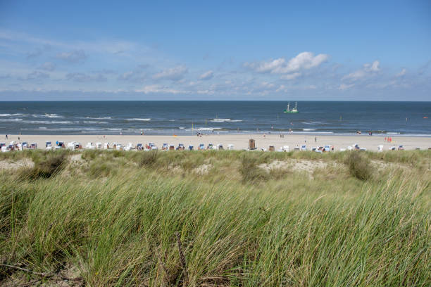 istock the german north sea 849482960