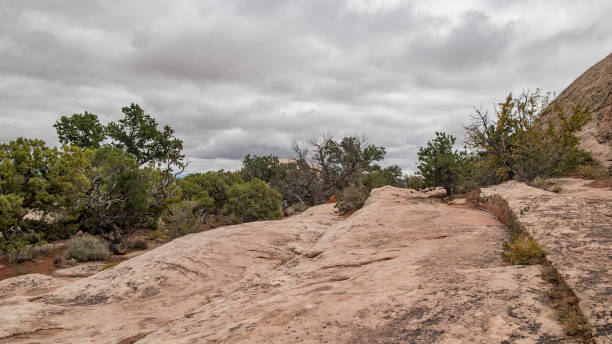 アメリカ南西部のアーチーズ国立公園のモアブ、ユタ州滑らかな岩層 - usa dirt road rock sandstone ストックフォトと画像