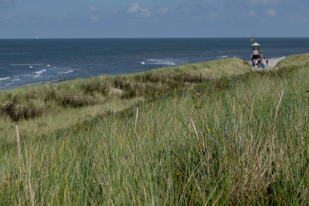 istock the german north sea 849485754