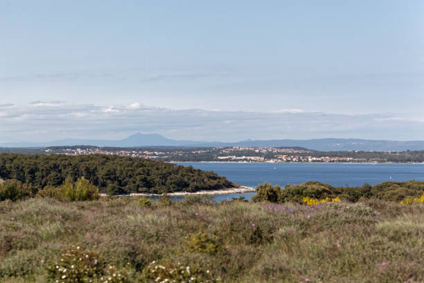 istock Adriatic coast at cape Kamenjak in Istria 849487054