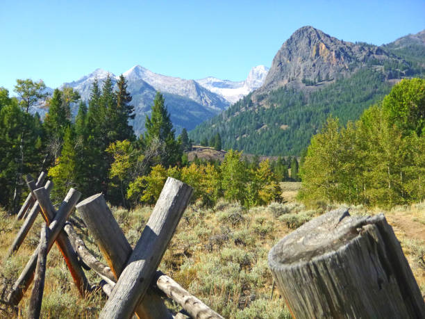istock Rugged Central Idaho Cow country. 849489960