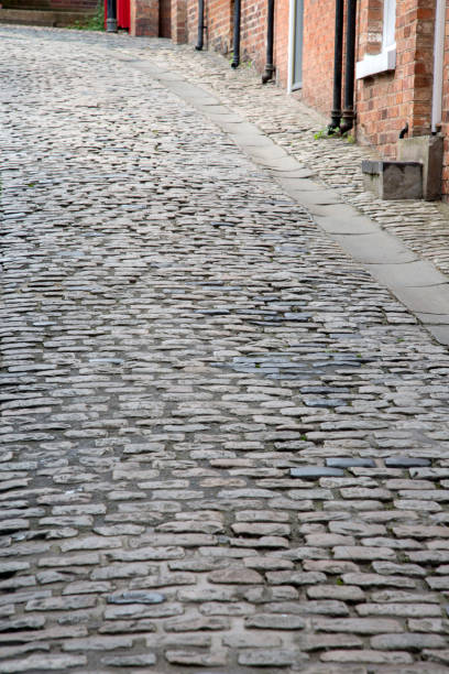 A close-up of wet cobblestone pavement, glistening after a recent rain. The textured surface and brick pattern create a classic urban street feel, reflecting the damp conditions.