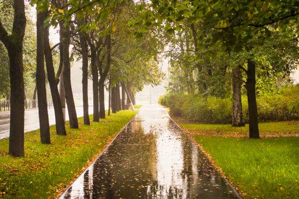 istock Rainy autumn path with fallen leaves in puddles. 849490690