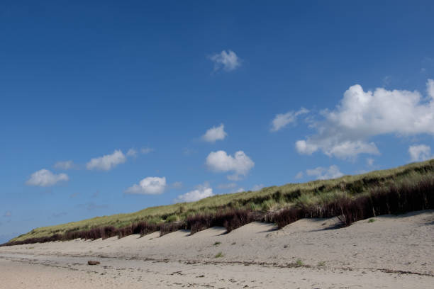 istock the german north sea 849500606