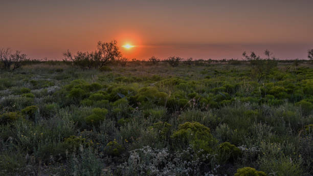 Hobbs, New Mexico Desert Sunset