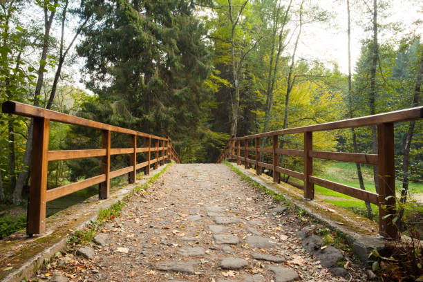 istock Bridge with railings leading towards forest 849532570