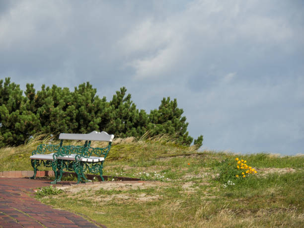 istock the island spiekeroog 849536038