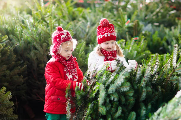 istock Kids select Christmas tree. Family buying Xmas tree. 849540296