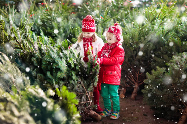 istock Kids select Christmas tree. Family buying Xmas tree. 849542892