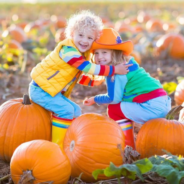 istock Kids picking pumpkins on Halloween pumpkin patch 849543080