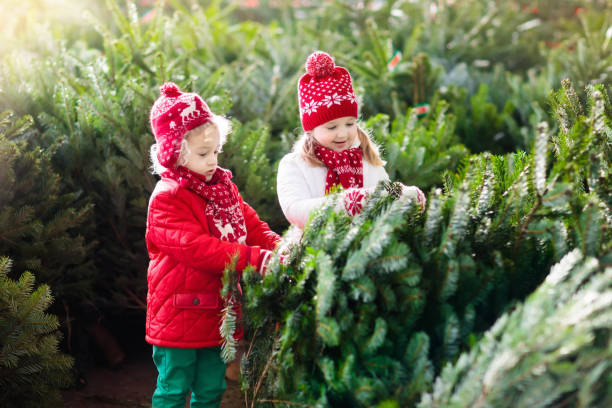 istock Kids select Christmas tree. Family buying Xmas tree. 849544014