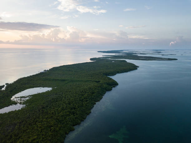 istock Mangrove Islands and Sunset Aerial 849547364