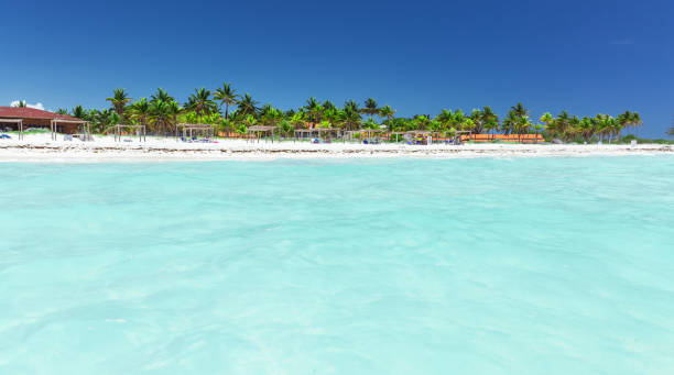 istock gorgeous  inviting view from the tranquil ocean side on to the palm beach with people relaxing in background 849552326