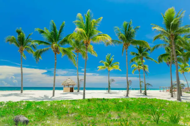 Photo of beautiful inviting tropical white sand beach and ocean on sunny day at Cuban Cayo coco island