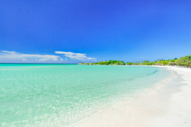 fabulous  view of tropical white sand beach and tranquil turquoise ocean on blue sky with people in background at Cayo Coco Cuban island stock photo