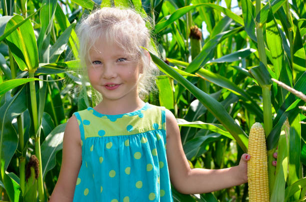 istock A small, cheerful girl among high, green corn 849558002