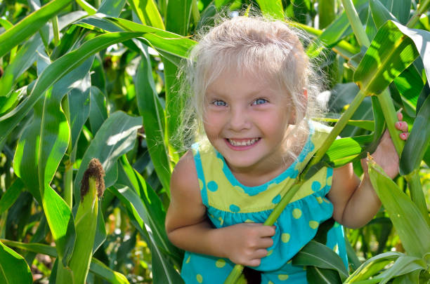 istock A small, cheerful girl among high, green corn 849558012