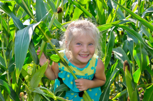 istock A small, cheerful girl among high, green corn 849558014
