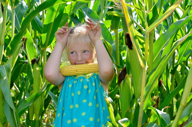 A small, cheerful girl among high, green corn.