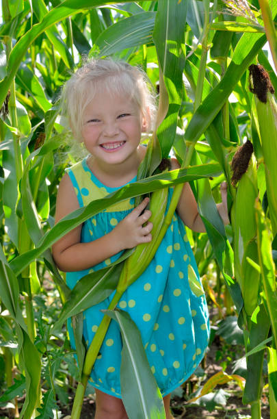istock A small, cheerful girl among high, green corn 849558186