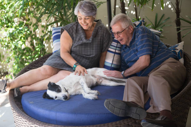 istock Senior couple with their dog 849563838