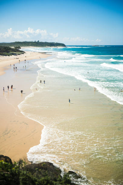 istock Nature from beach in Australia 849573448