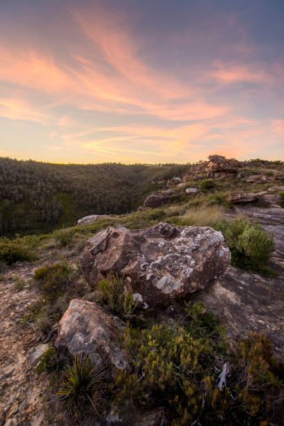 istock Landscape of Blue Mountains national park 849573766