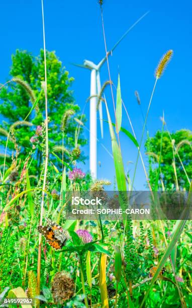 Butterfly And Wind Turbine Stock Photo - Download Image Now - Blue, Canada, In Silhouette