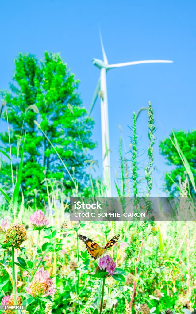 Butterfly and wind turbine A butterfly, beautiful lady, among wild flowers, in the background a wind turbine. Blue Stock Photo