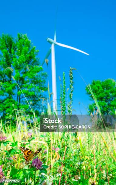 Butterfly And Wind Turbine Stock Photo - Download Image Now - Blue, Canada, In Silhouette