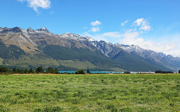 istock Thomson Mountains and green pasture 849600930