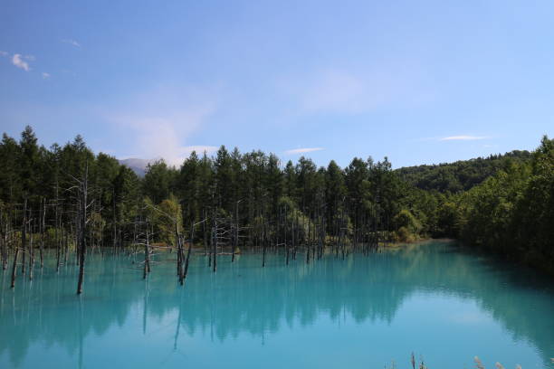 istock Blue Pond, Hokkaido Japan Beii 2017 Summer 849604562